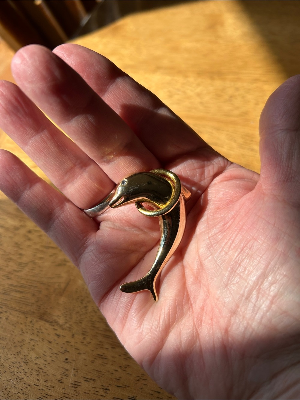 Gold Dolphin Brooch